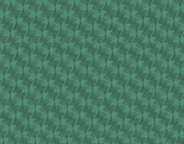 Siser P.S. Electric E0049 Lens Green