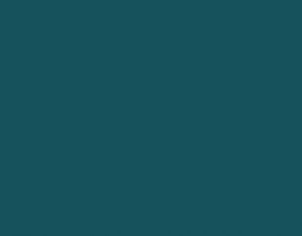 Siser P.S. Film A0012 Turquoise