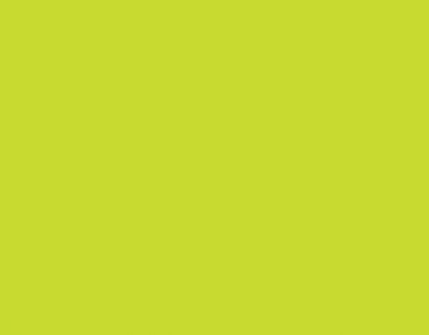 Siser P.S. Film A0030 Lime