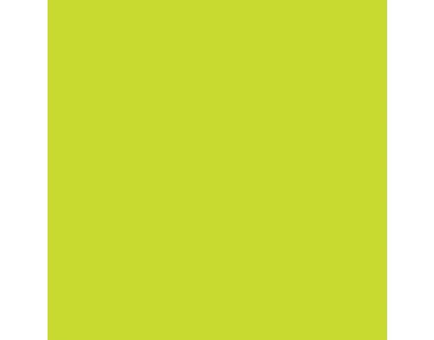 Siser P.S. Film A0030 Lime