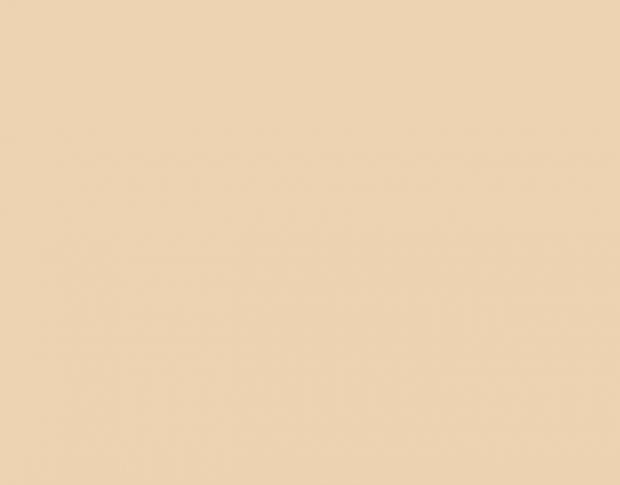 Siser P.S. Film A0038 Pearl