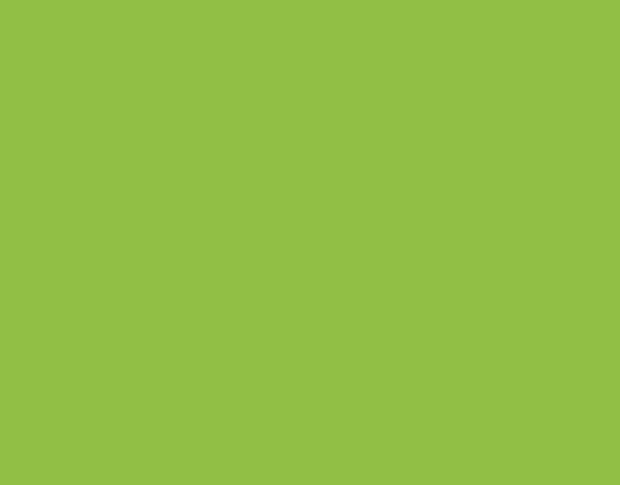 Siser P.S. Film A0058 Apple Green