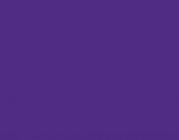 Siser P.S. Film A0065 Light Purple