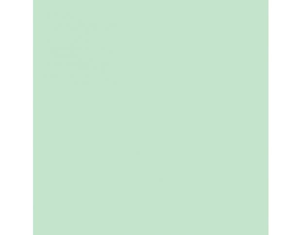 Siser P.S. Film A0068 Mint