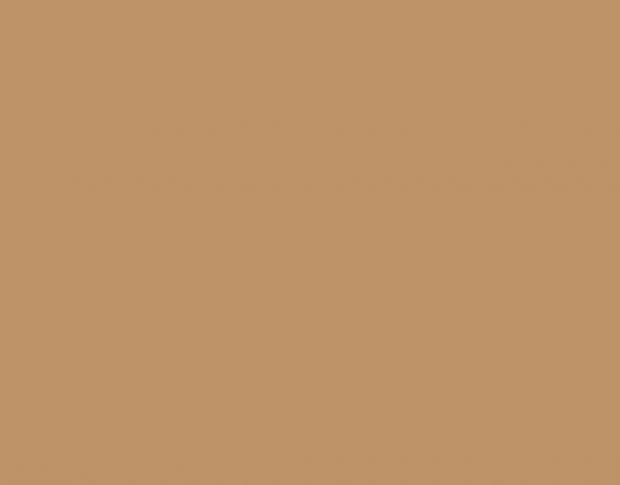 Siser P.S. Film A0073 Tan