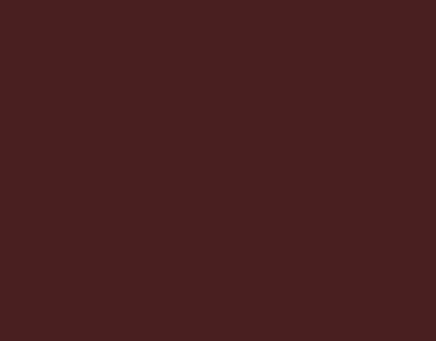 Siser P.S. Film Extra A0017 Brown