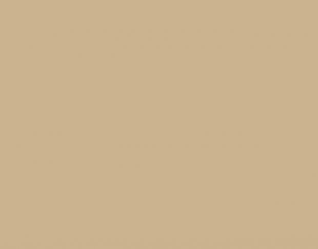 Siser P.S. Film Extra A0037 Sand
