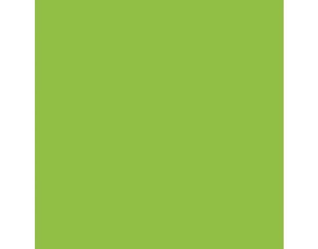 Siser P.S. Film Extra A0058 Apple Green