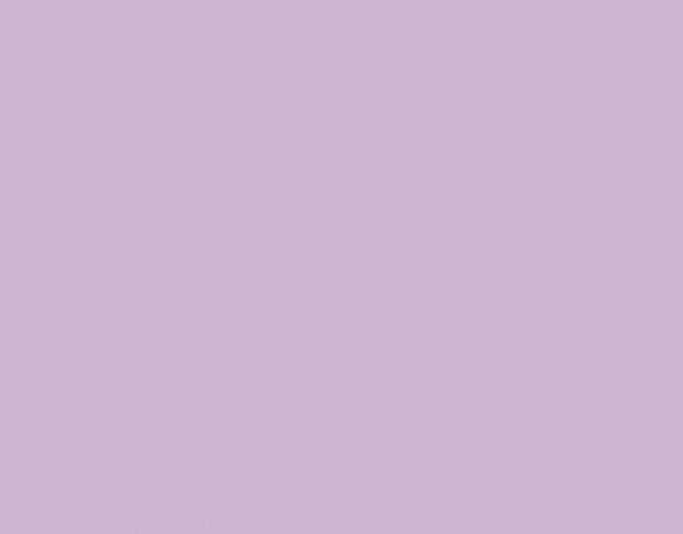Siser P.S. Film Extra A0059 Lilac