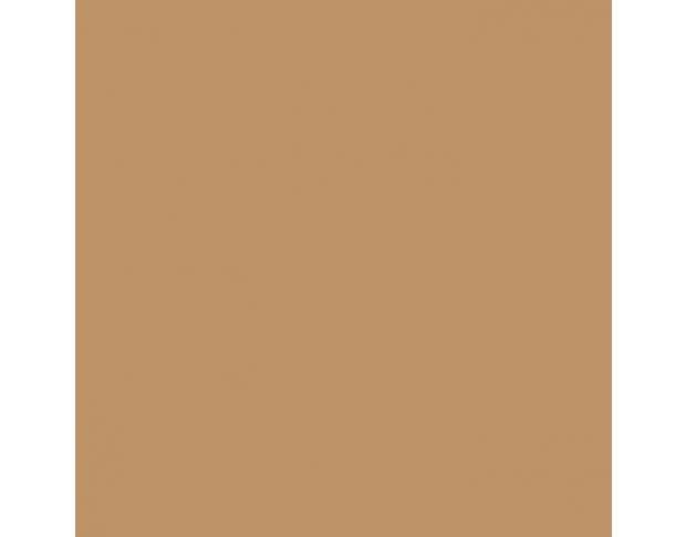 Siser P.S. Film Extra A0073 Tan