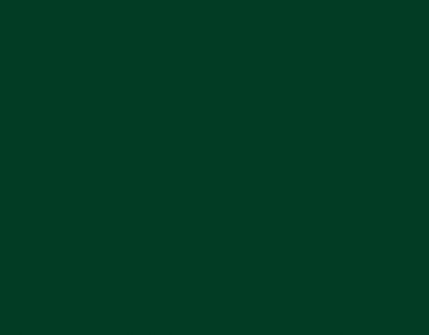Siser P.S. Stretch ST0010 Dark Green