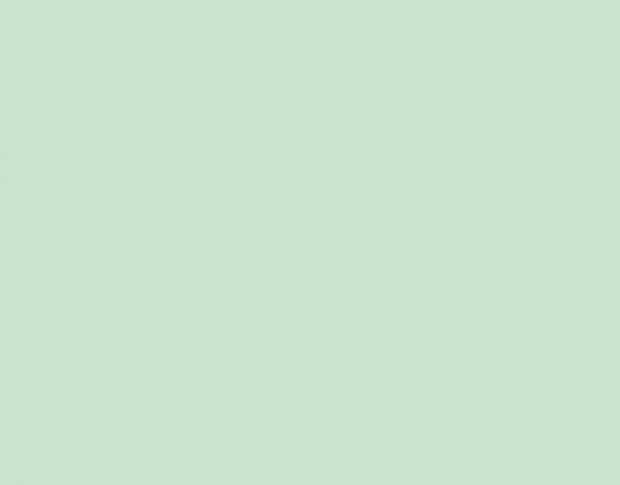 Siser P.S. Stretch ST0067 Mint
