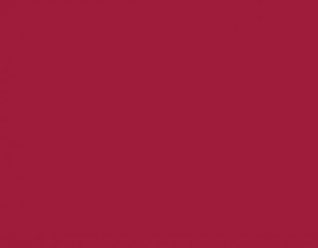 Siser Videoflex P0016 Burgundy