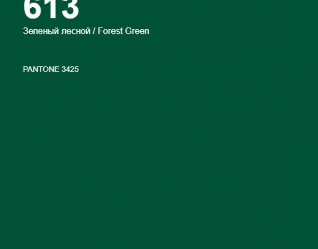 Oracal 641 613 Gloss Forest Green 1 m