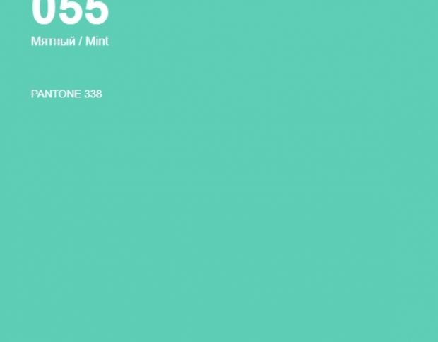 Oracal 641 055 Gloss Mint 1 m