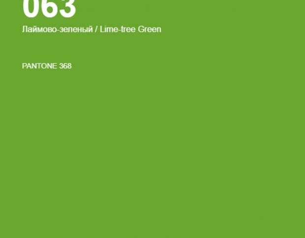 Oracal 641 063 Matte Lime Tree Green 1 m