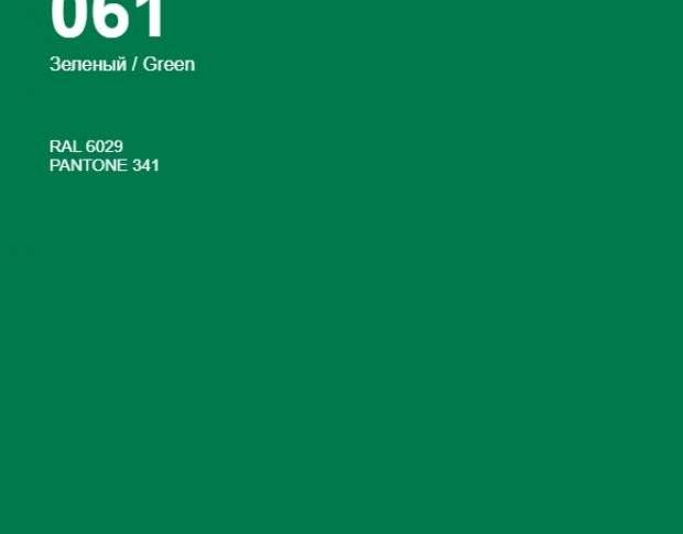 Oracal 641 061 Matte Green 1 m