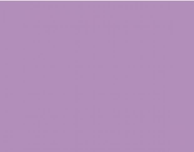 Oracal 751 042 Gloss Lilac 1 m