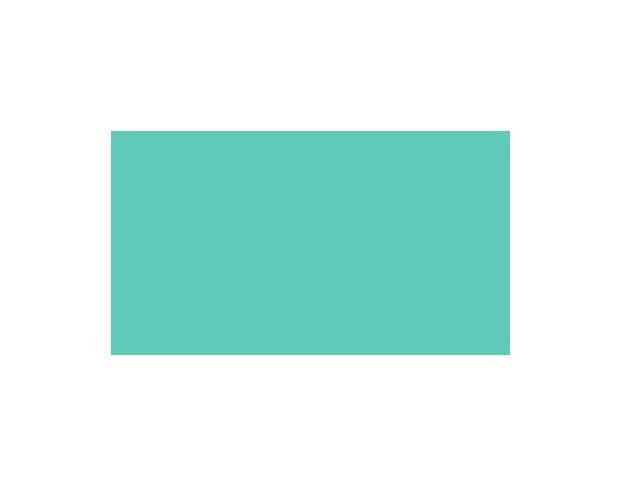 Oracal 751 055 Gloss Mint 1 m