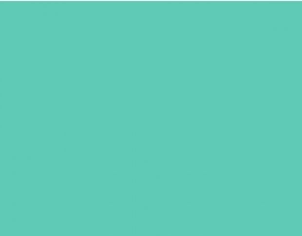 Oracal 751 055 Gloss Mint 1 m