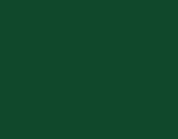 Oracal 751 060 Gloss Dark Green 1 m