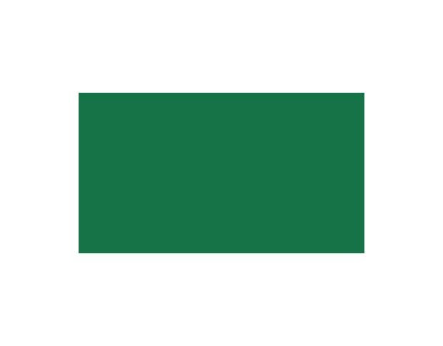Oracal 751 061 Gloss Green 1 m