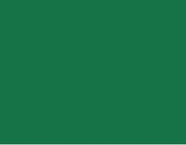 Oracal 751 061 Gloss Green 1 m