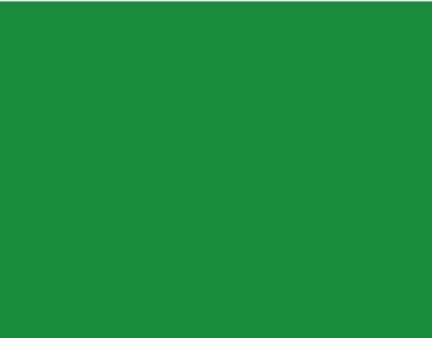 Oracal 751 062 Gloss Light Green 1 m