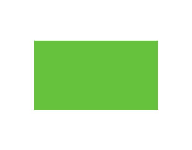Oracal 751 063 Gloss Lime-Tree Green 1 m