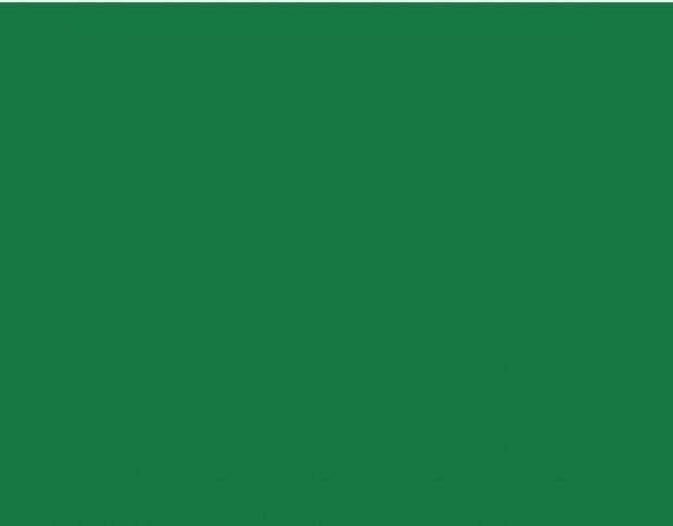 Oracal 751 068 Gloss Grass Green 1 m