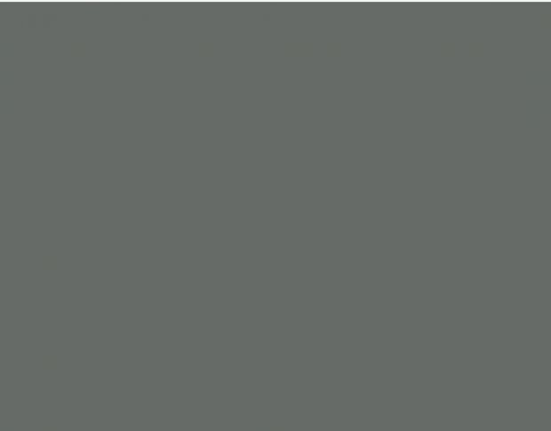 Oracal 751 071 Gloss Grey 1 m