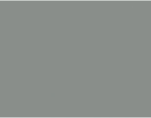 Oracal 751 074 Gloss Middle Grey 1 m