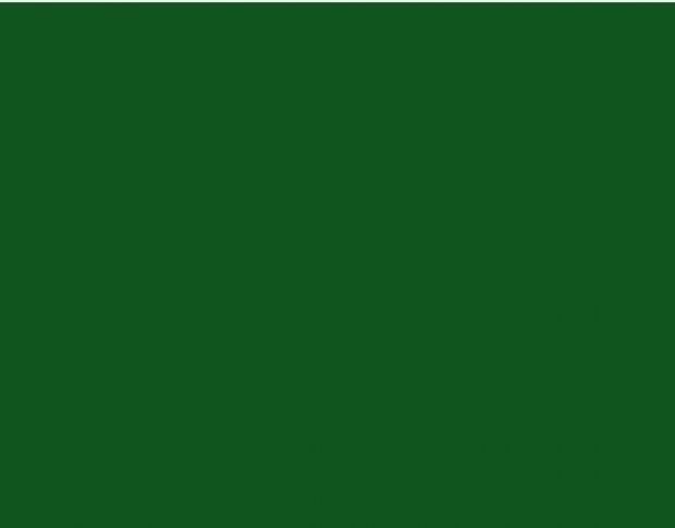 Oracal 751 078 Gloss Foliage Green 1 m