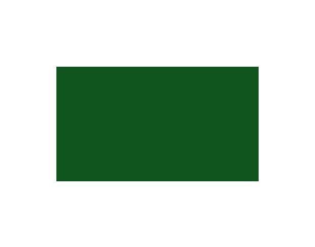 Oracal 751 078 Gloss Foliage Green 1 m