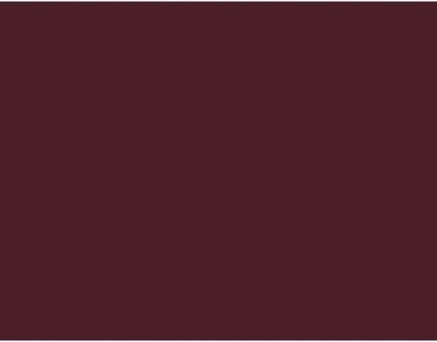Oracal 751 340 Gloss Chestnut 1 m