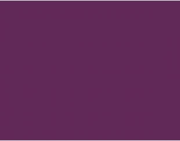 Oracal 751 415 Gloss Summer Plum 1 m