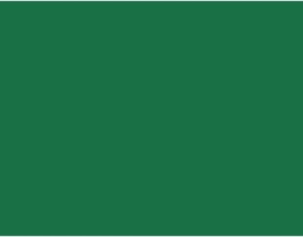 Oracal 751 604 Gloss Cactus Green 1 m