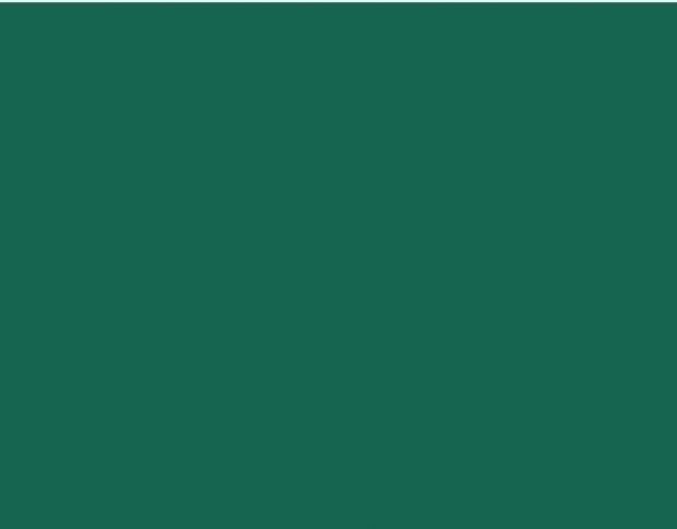 Oracal 751 607 Gloss Turquoise Green 1 m