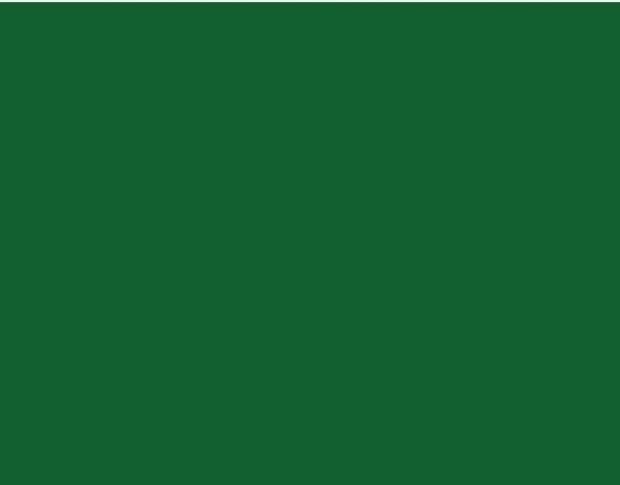 Oracal 751 617 Gloss Emerald 1 m