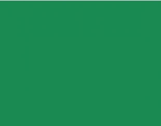 Oracal 751 619 Gloss Traffic Green 1 m