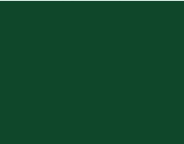 Oracal 751 661 Gloss Leaf Green 1 m