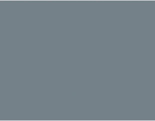 Oracal 751 721 Gloss Slate Grey 1 m