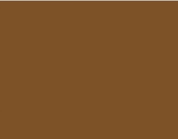 Oracal 751 801 Gloss Loam Brown 1 m