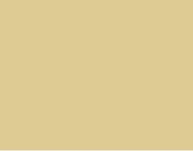 Oracal 751 804 Gloss Beige Brown 1 m