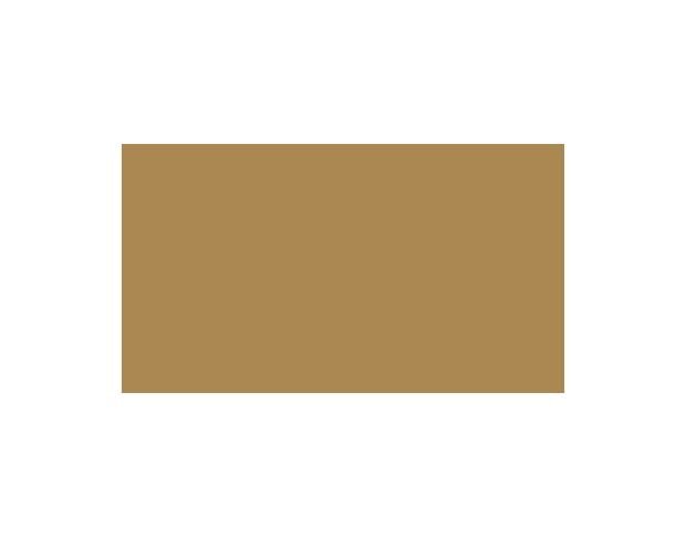 Oracal 751 811 Gloss Sahara Beige 1 m