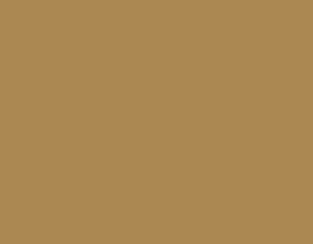 Oracal 751 811 Gloss Sahara Beige 1 m