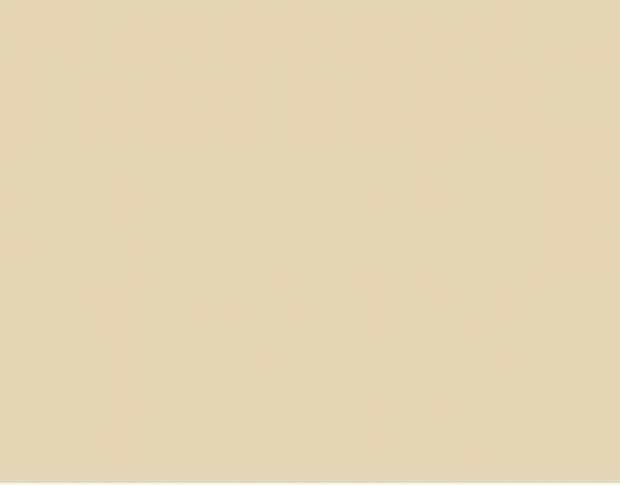 Oracal 751 813 Gloss Light Cream 1 m