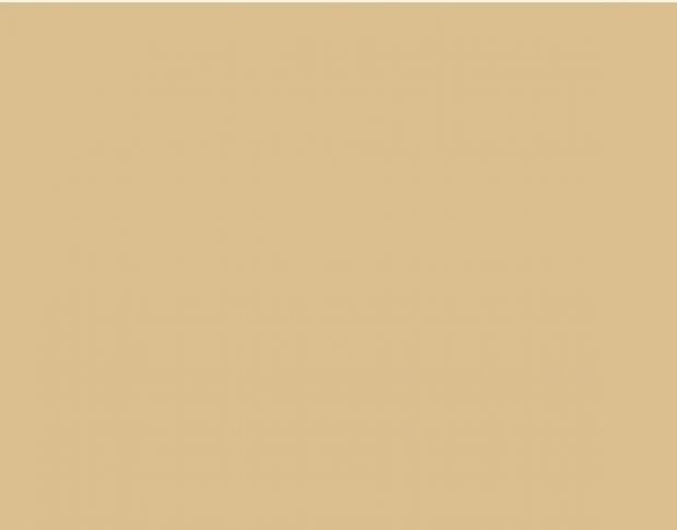 Oracal 751 818 Gloss Saffron 1 m