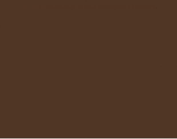 Oracal 751 828 Gloss Earth Brown 1 m