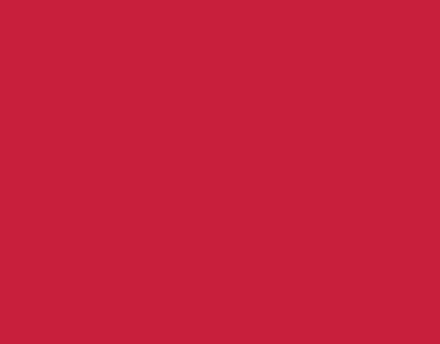 Siser P.S. Electric E0016 Cranberry